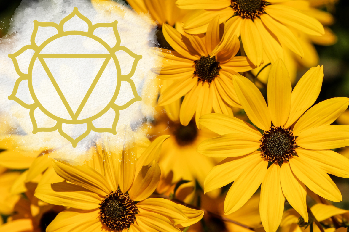 5 Solar Plexus Chakra Crystals Otter Spirit