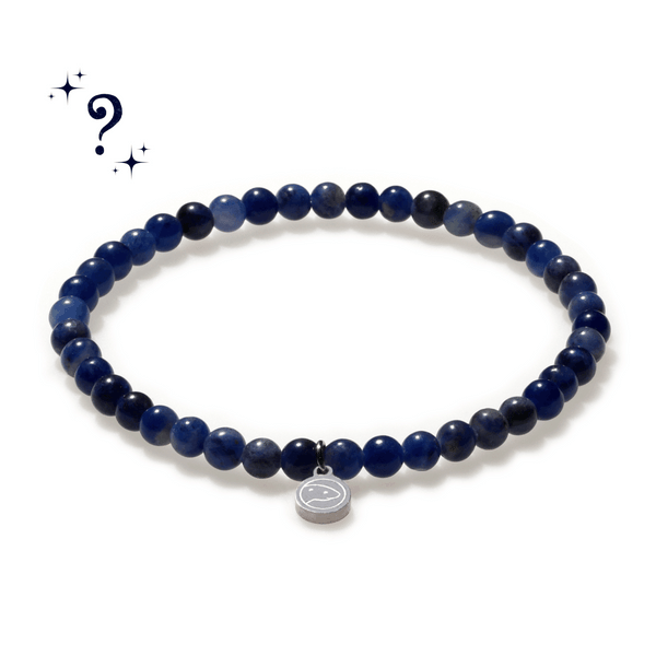 Mystery Bracelet Mini
